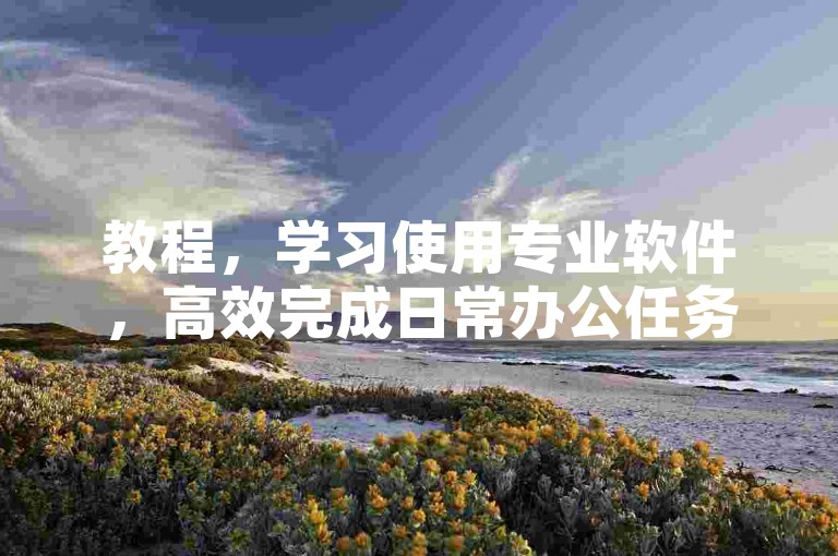 教程，学习使用专业软件，高效完成日常办公任务。