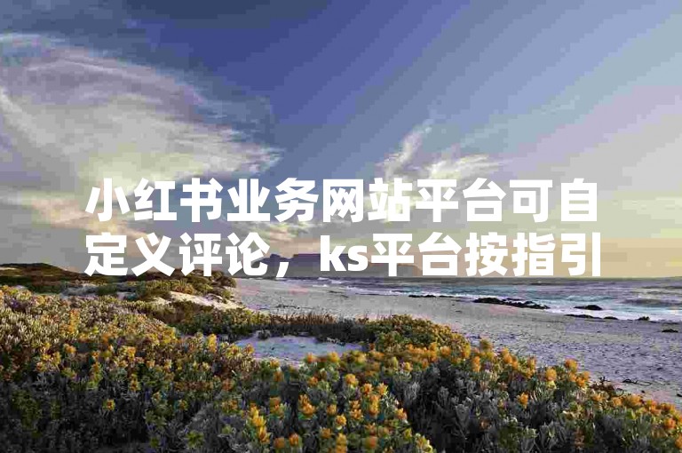 小红书业务网站平台可自定义评论，ks平台按指引下载安装。