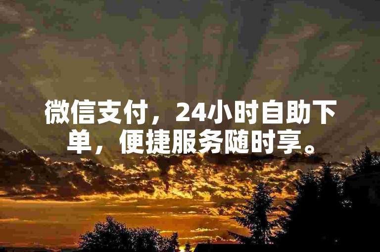 微信支付，24小时自助下单，便捷服务随时享。