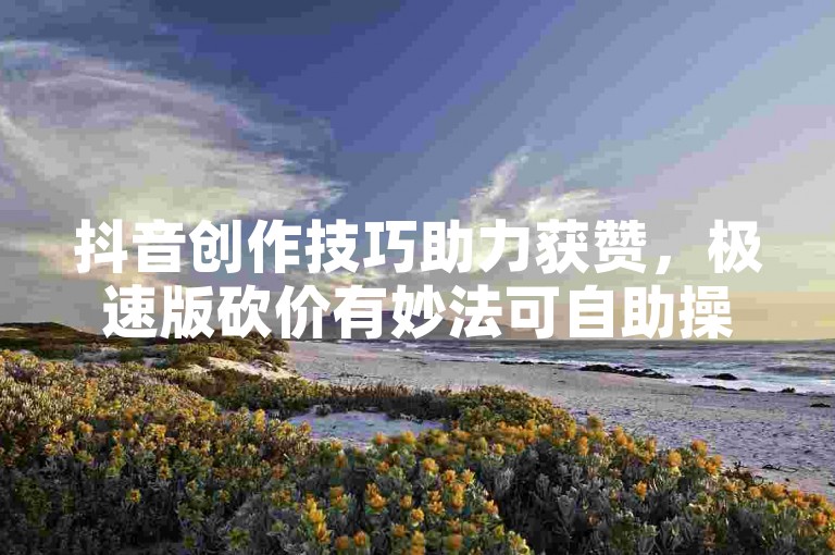 抖音创作技巧助力获赞，极速版砍价有妙法可自助操作。