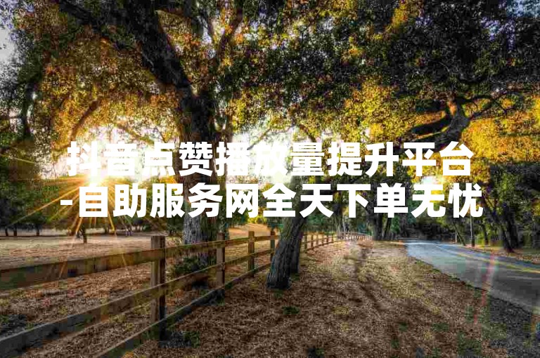 抖音点赞播放量提升平台-自助服务网全天下单无忧