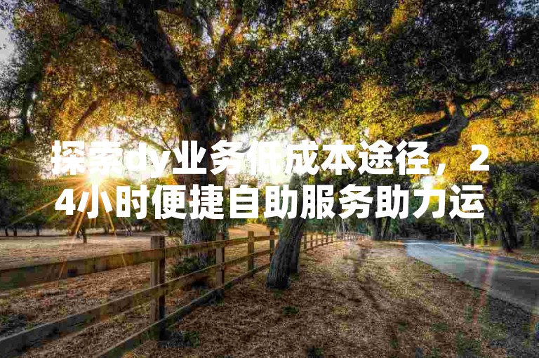 探索dy业务低成本途径，24小时便捷自助服务助力运营
