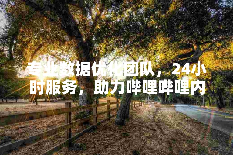 专业数据优化团队，24小时服务，助力哔哩哔哩内容成长