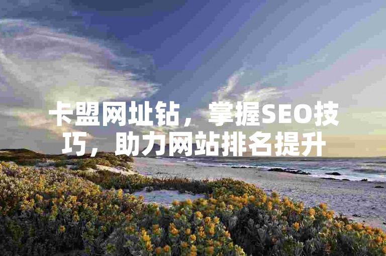 卡盟网址钻，掌握SEO技巧，助力网站排名提升