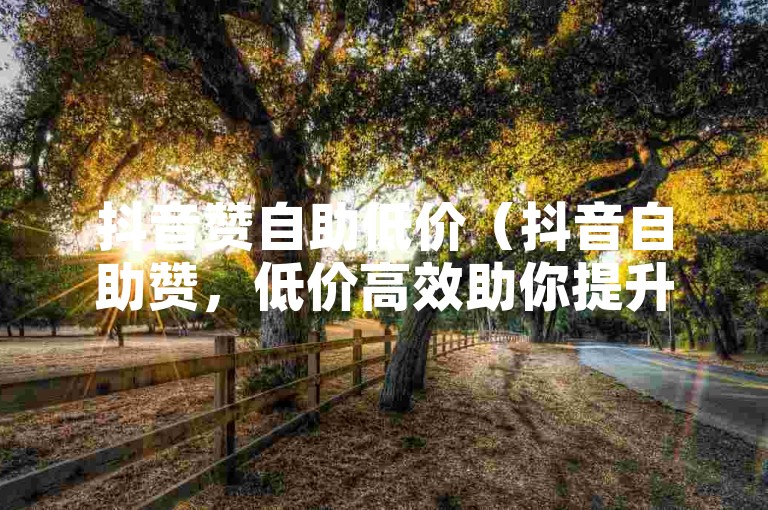 抖音赞自助低价（抖音自助赞，低价高效助你提升人气）
