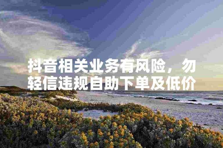 抖音相关业务有风险，勿轻信违规自助下单及低价充值。