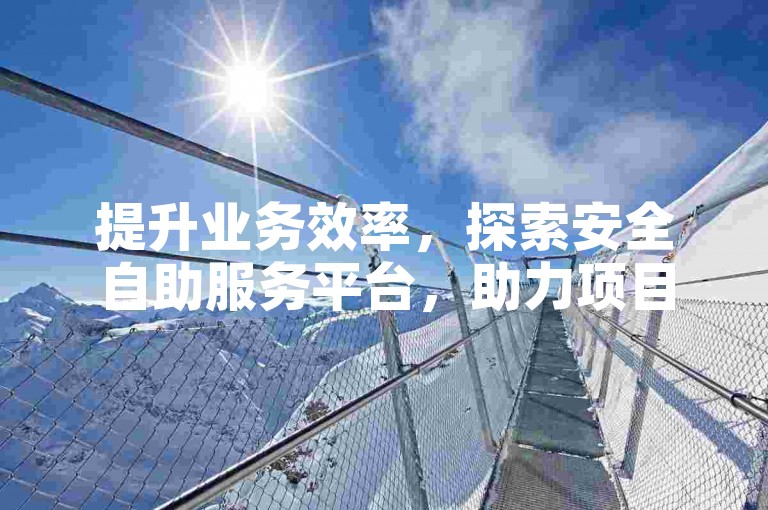 提升业务效率，探索安全自助服务平台，助力项目推广。
