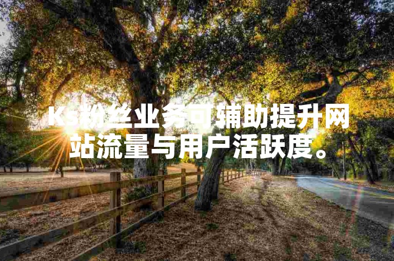 Ks粉丝业务可辅助提升网站流量与用户活跃度。