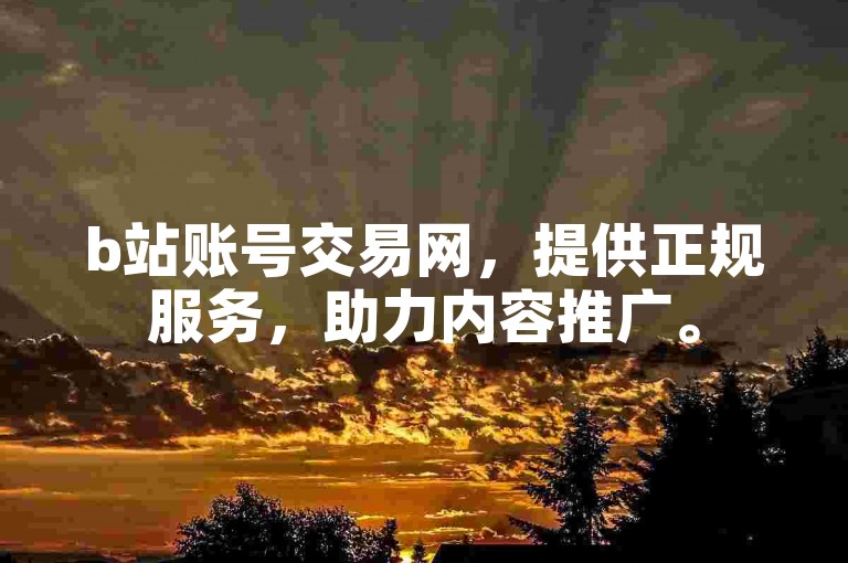b站账号交易网，提供正规服务，助力内容推广。