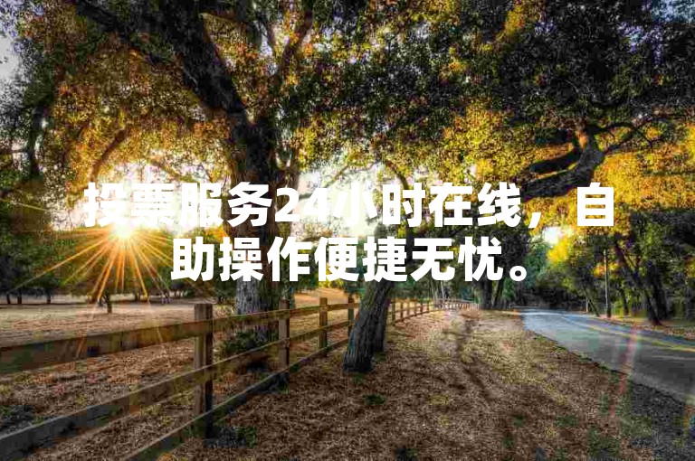 投票服务24小时在线，自助操作便捷无忧。