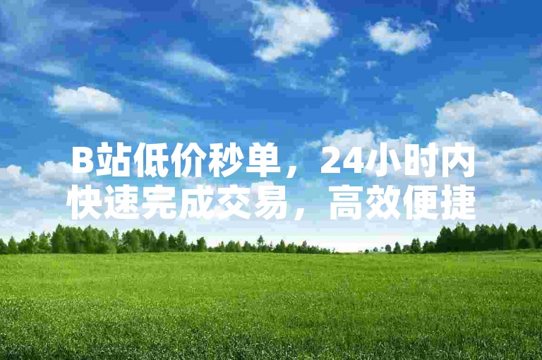 B站低价秒单，24小时内快速完成交易，高效便捷。