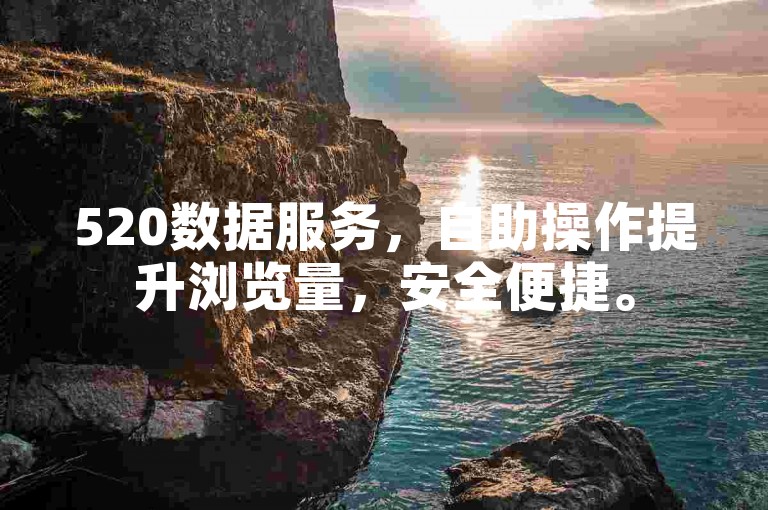 520数据服务，自助操作提升浏览量，安全便捷。