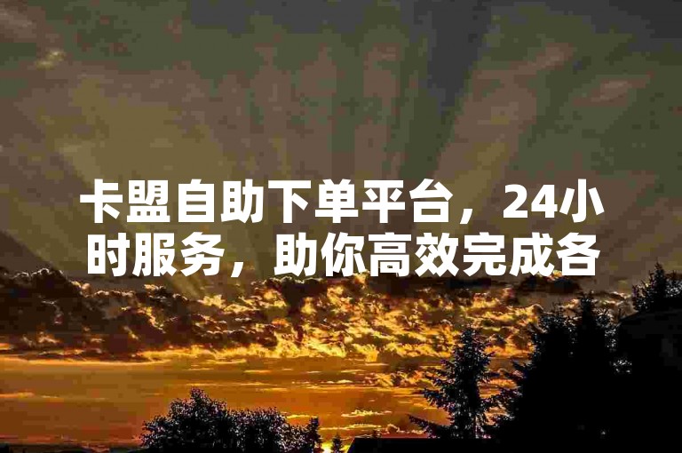 卡盟自助下单平台，24小时服务，助你高效完成各类任务。