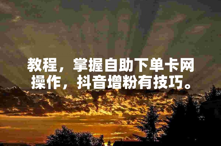 教程，掌握自助下单卡网操作，抖音增粉有技巧。
