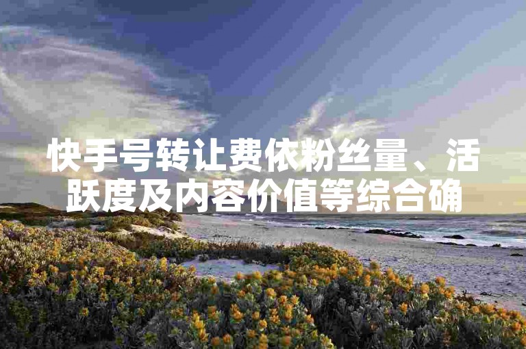 快手号转让费依粉丝量、活跃度及内容价值等综合确定。