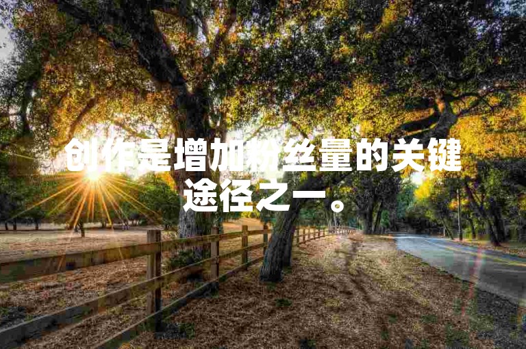 创作是增加粉丝量的关键途径之一。