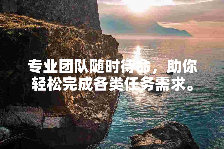 专业团队随时待命，助你轻松完成各类任务需求。