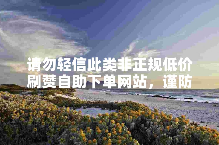 请勿轻信此类非正规低价刷赞自助下单网站，谨防受骗。