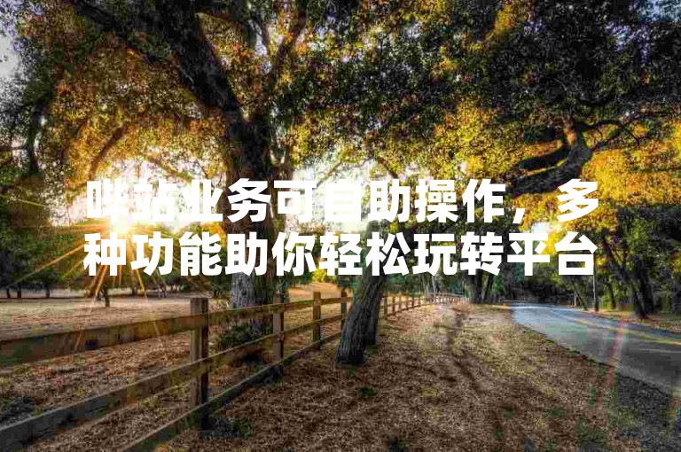 哔站业务可自助操作，多种功能助你轻松玩转平台。