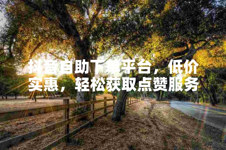 抖音自助下单平台，低价实惠，轻松获取点赞服务。