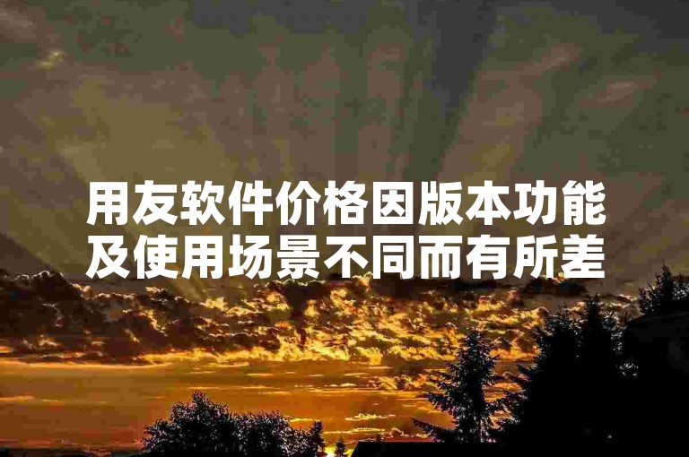 用友软件价格因版本功能及使用场景不同而有所差异。