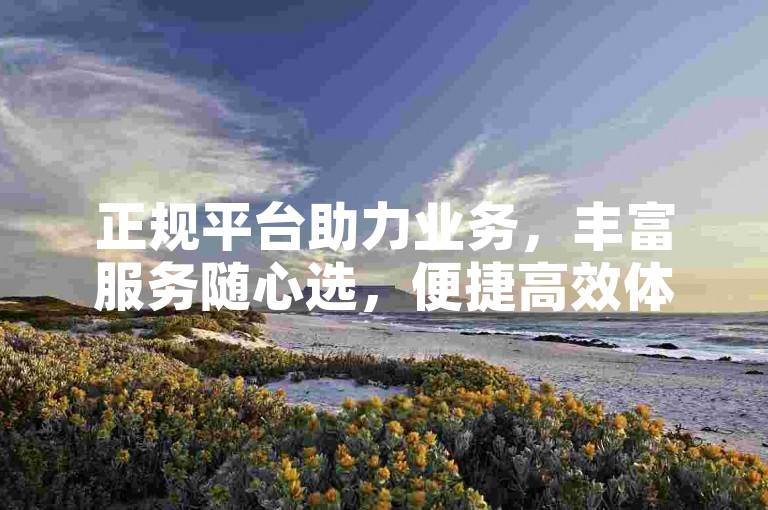 正规平台助力业务，丰富服务随心选，便捷高效体验佳。