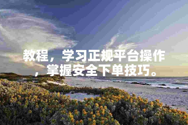 教程，学习正规平台操作，掌握安全下单技巧。