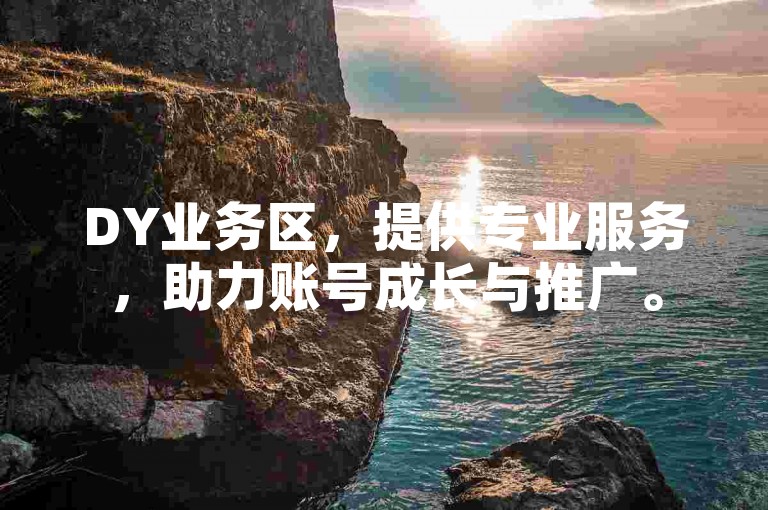DY业务区，提供专业服务，助力账号成长与推广。