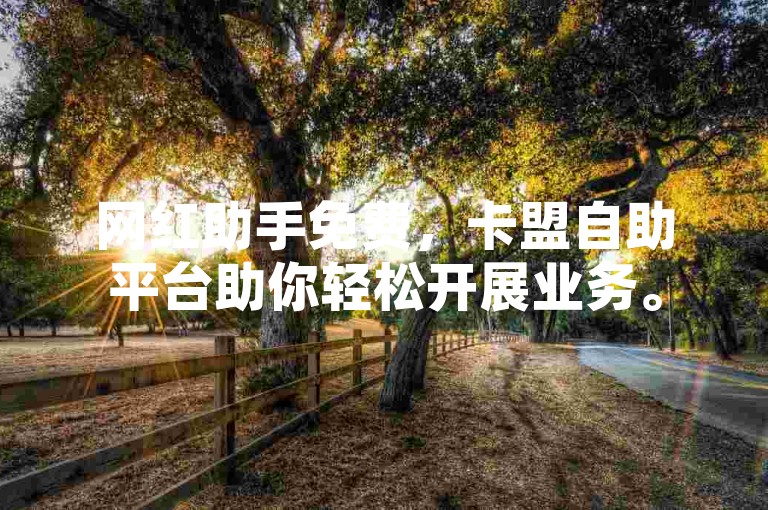 网红助手免费，卡盟自助平台助你轻松开展业务。