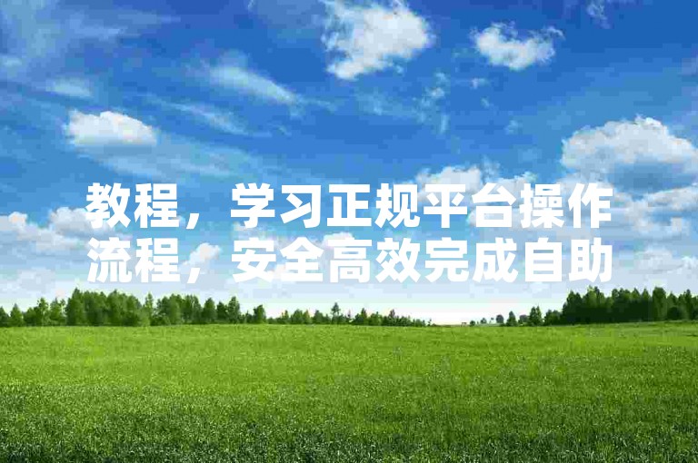 教程，学习正规平台操作流程，安全高效完成自助服务。