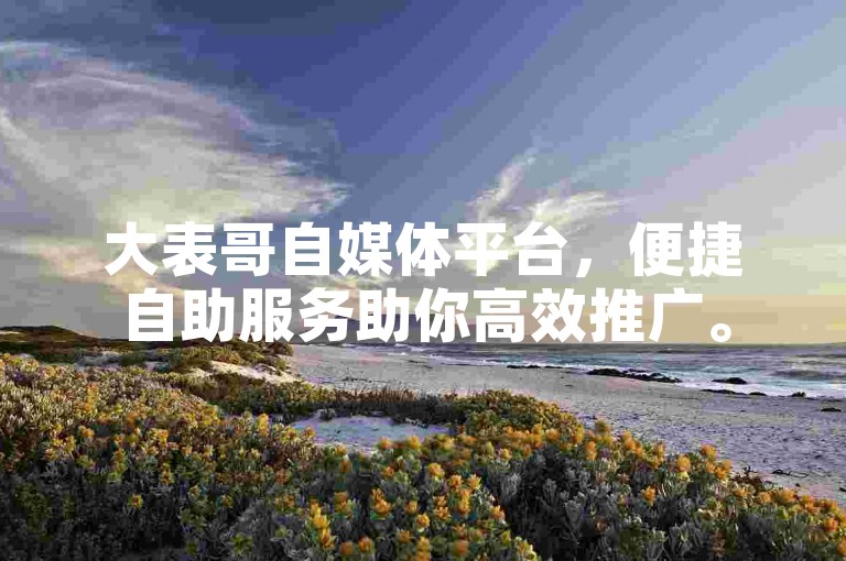 大表哥自媒体平台，便捷自助服务助你高效推广。