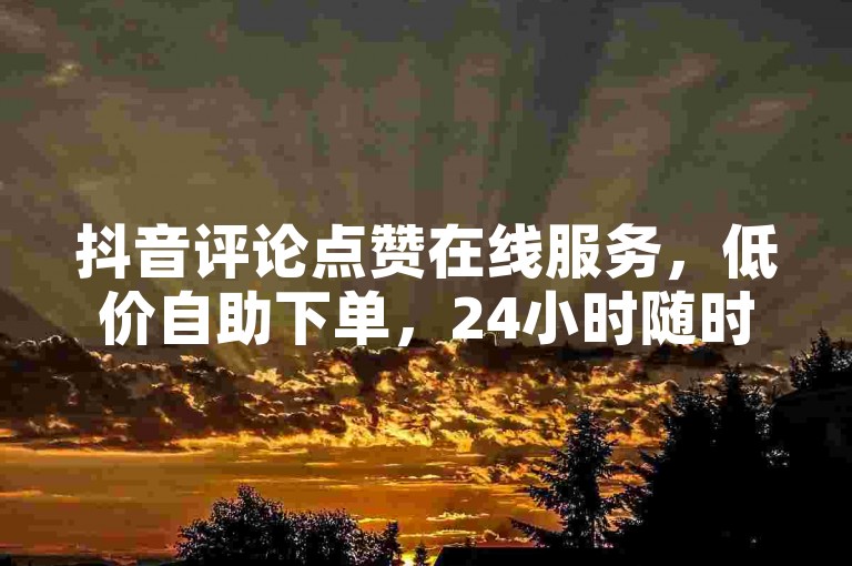 抖音评论点赞在线服务，低价自助下单，24小时随时可用。