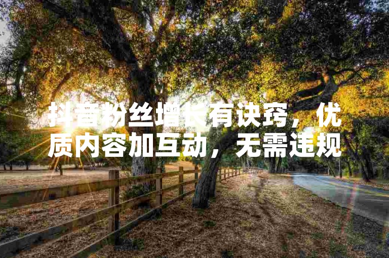 抖音粉丝增长有诀窍，优质内容加互动，无需违规操作。