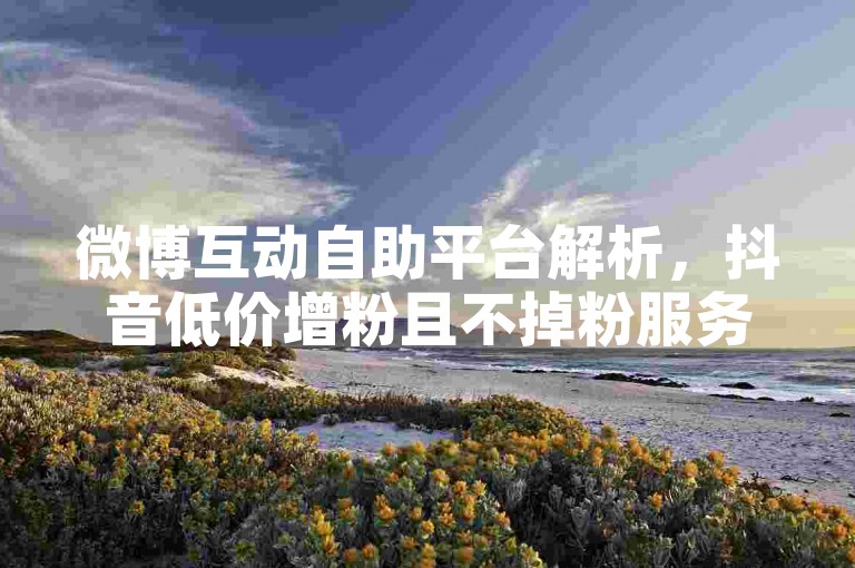 微博互动自助平台解析，抖音低价增粉且不掉粉服务说明