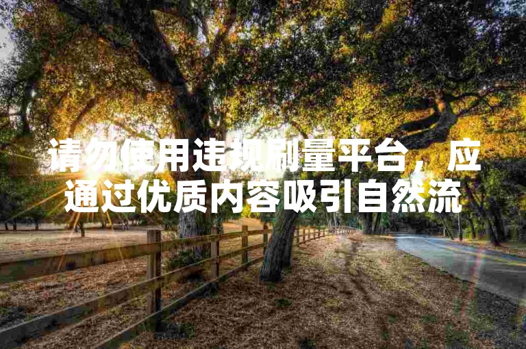请勿使用违规刷量平台，应通过优质内容吸引自然流量。