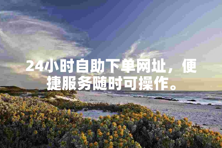 24小时自助下单网址，便捷服务随时可操作。