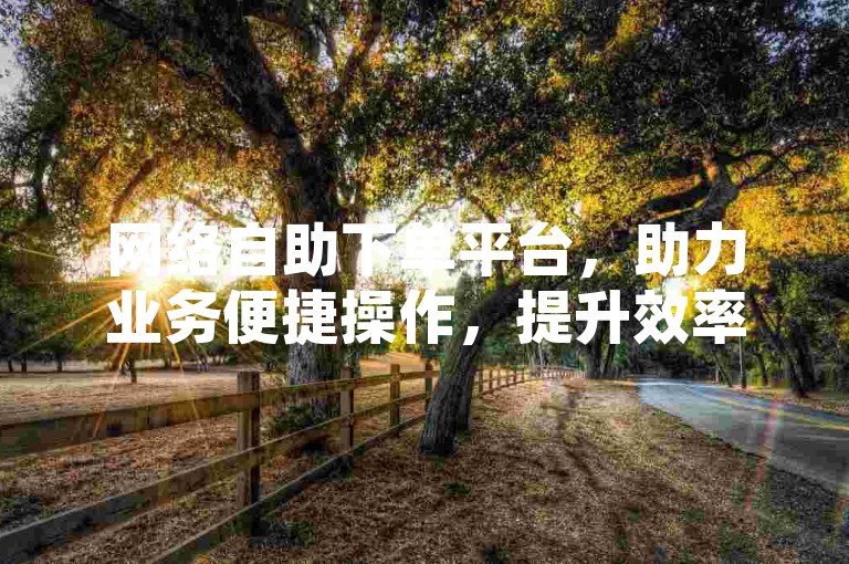 网络自助下单平台，助力业务便捷操作，提升效率。