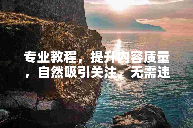 专业教程，提升内容质量，自然吸引关注，无需违规操作。