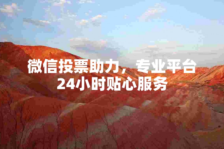微信投票助力，专业平台24小时贴心服务
