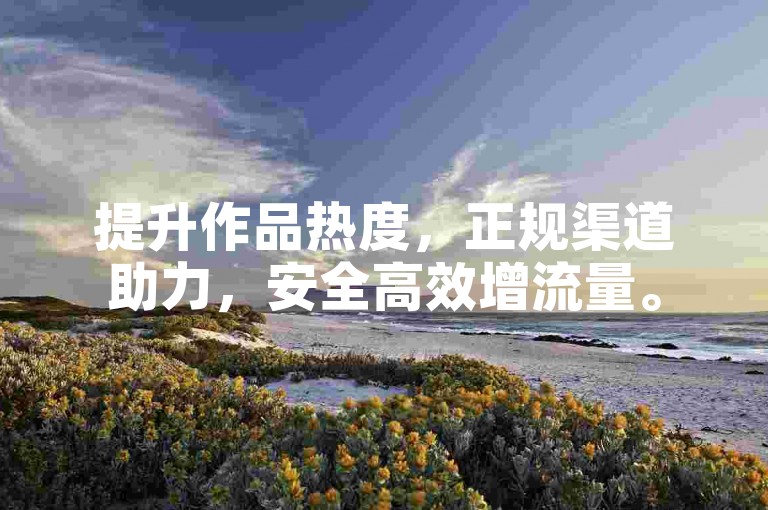 提升作品热度，正规渠道助力，安全高效增流量。