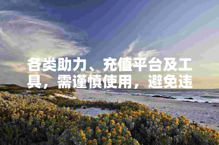 各类助力、充值平台及工具，需谨慎使用，避免违规风险。