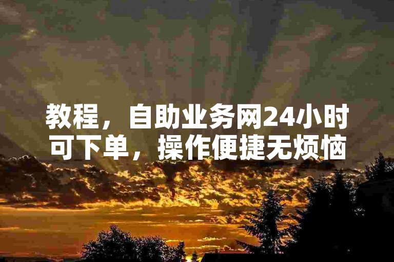 教程，自助业务网24小时可下单，操作便捷无烦恼。
