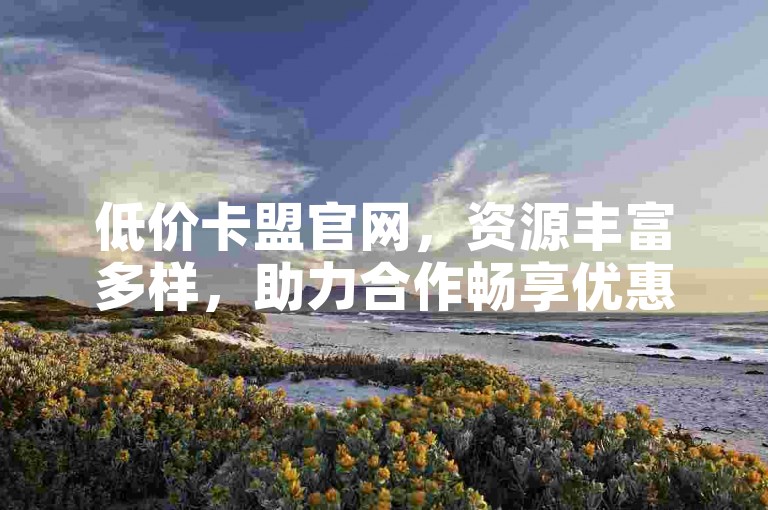 低价卡盟官网，资源丰富多样，助力合作畅享优惠。