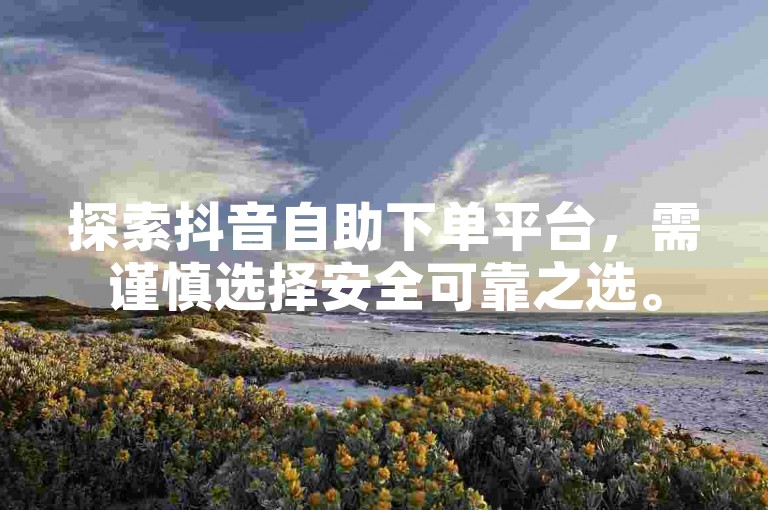 探索抖音自助下单平台，需谨慎选择安全可靠之选。