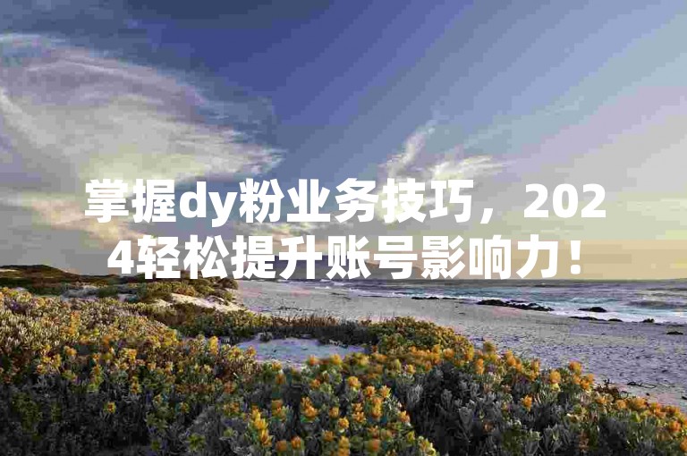 掌握dy粉业务技巧，2024轻松提升账号影响力！