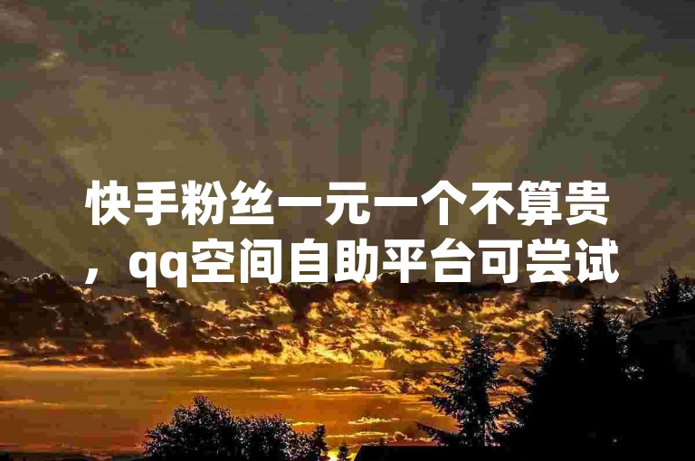 快手粉丝一元一个不算贵，qq空间自助平台可尝试。