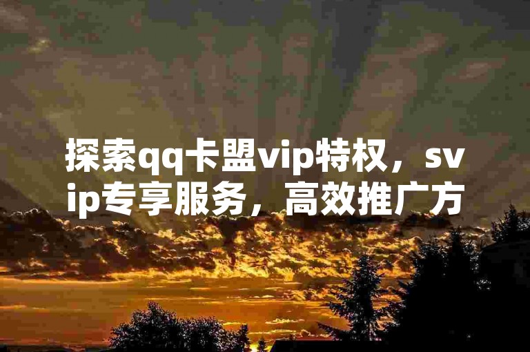 探索qq卡盟vip特权，svip专享服务，高效推广方案。
