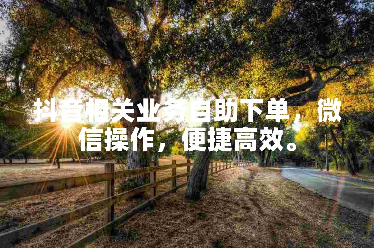 抖音相关业务自助下单，微信操作，便捷高效。