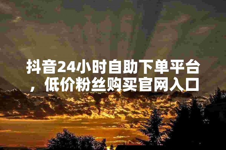抖音24小时自助下单平台，低价粉丝购买官网入口