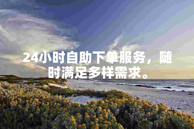 24小时自助下单服务，随时满足多样需求。